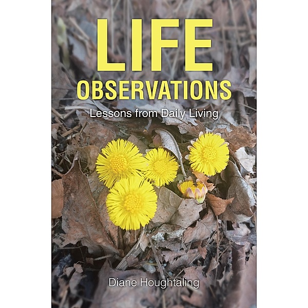 LIFE  OBSERVATIONS, Diane Houghtaling