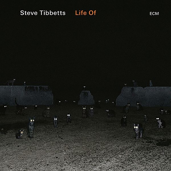 Life Of, Steve Tibbetts