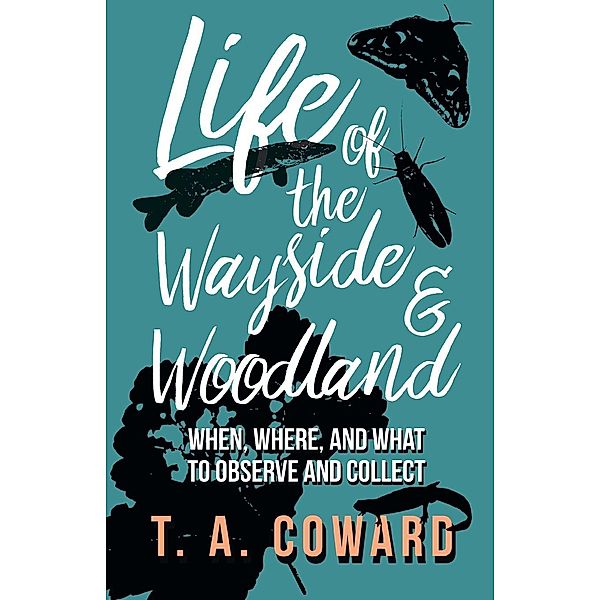 Life of the Wayside and Woodland, T. A. Coward