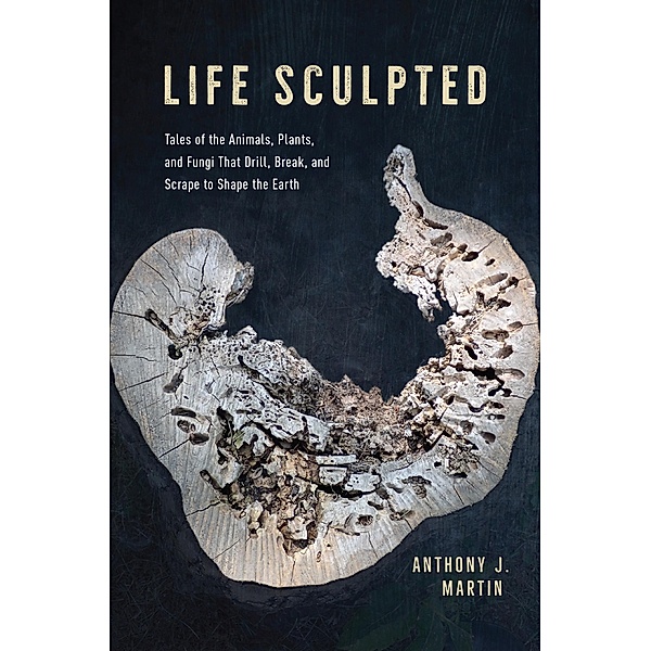Life Sculpted, Martin Anthony J. Martin