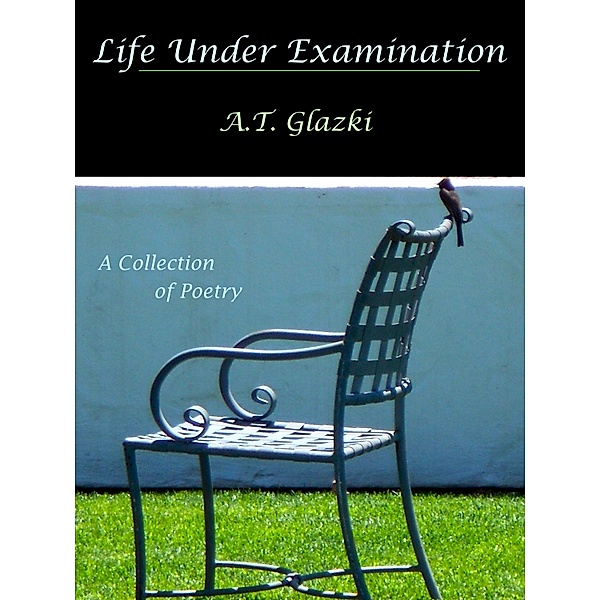 Life Under Examination, Aria Glazki