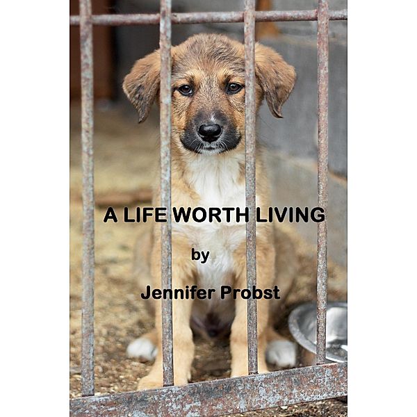 Life Worth Living / Jennifer Probst, Jennifer Probst