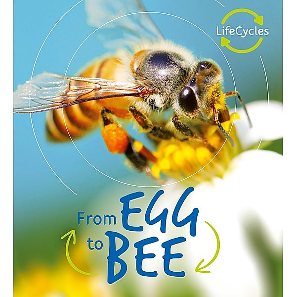 Lifecycles: Egg to Bee / Life Cycles, Camilla De la Bedoyere