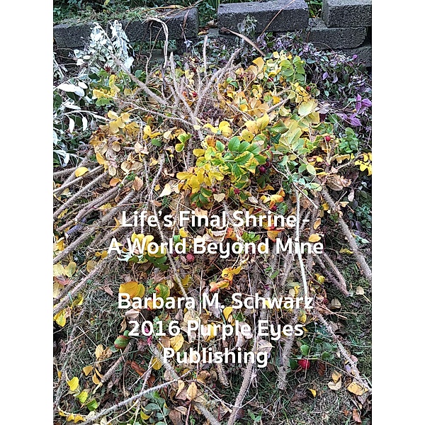 Life's Final Shrine - A World Beyond Mine, Barbara M Schwarz