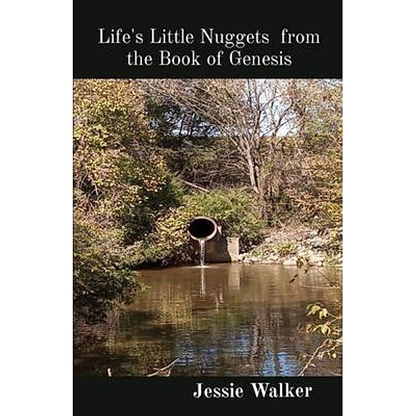 Life's Little Nuggets  from the Book of Genesis, Jessie Walker