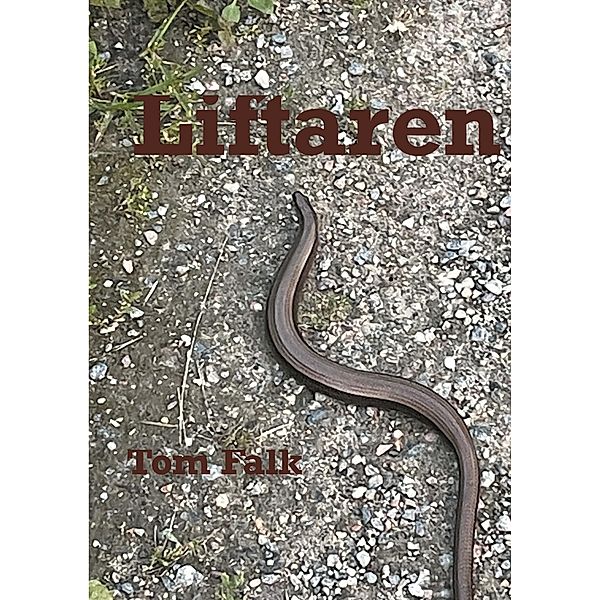 Liftaren, Tom Falk