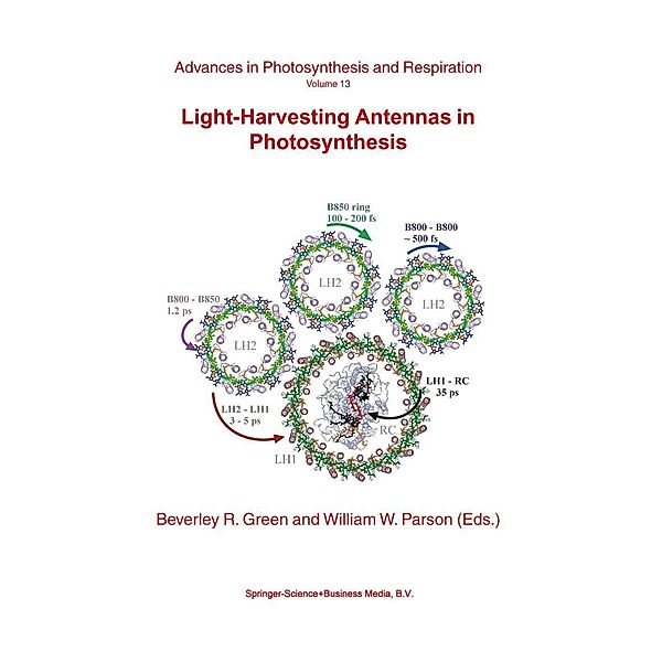 Light-Harvesting Antennas in Photosynthesis / Advances in Photosynthesis and Respiration Bd.13