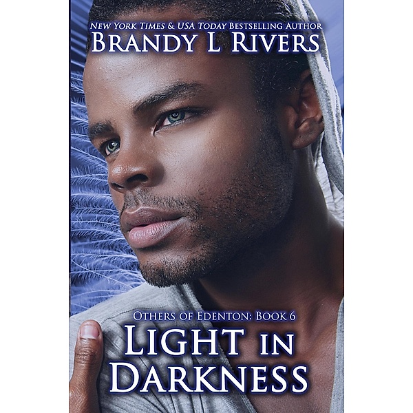 Light in Darkness / Brandy L Rivers, Brandy L Rivers