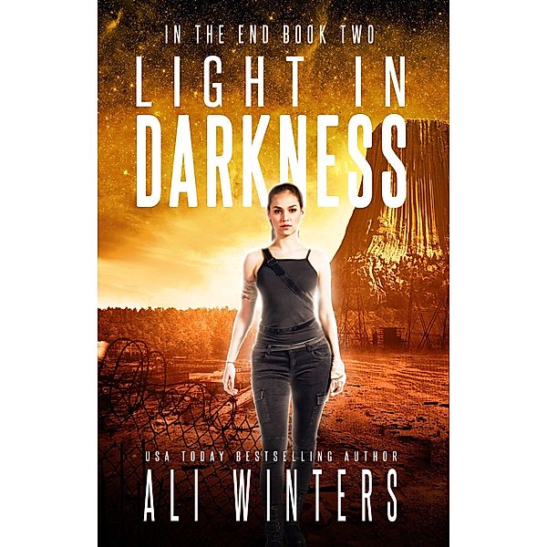 Light in Darkness (In The End, #2) / In The End, Ali Winters