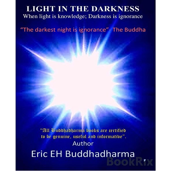 LIGHT IN THE DARKNESS, Eric EH Buddhadharma