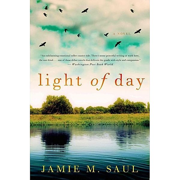 Light of Day, Jamie M. Saul