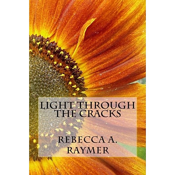 Light through the Cracks, Rebecca Raymer