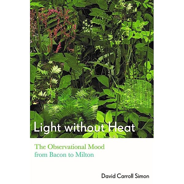 Light without Heat, David Carroll Simon