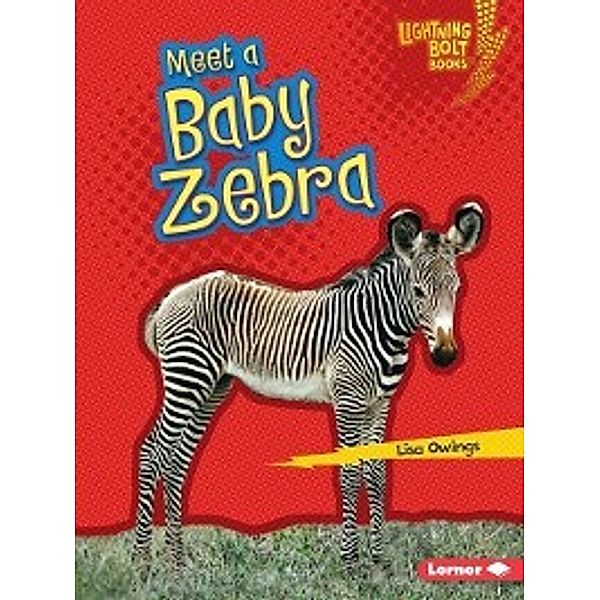 Lightning Bolt Books &#174; — Baby African Animals: Meet a Baby Zebra, Lisa Owings