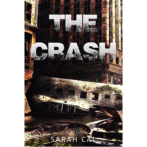 Lights Out: The Crash (Lights Out, #1), Sarah Cal