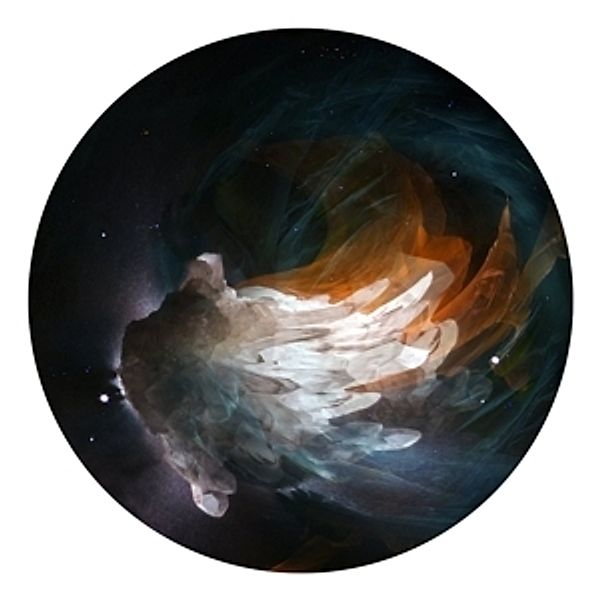 Lights/Picture Disc (Vinyl), The Fauns