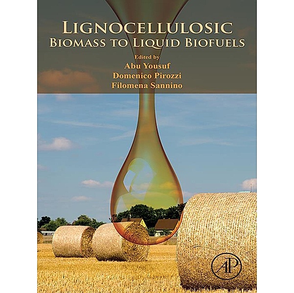 Lignocellulosic Biomass to Liquid Biofuels, Abu Yousuf, Filomena Sannino, Domenico Pirozzi