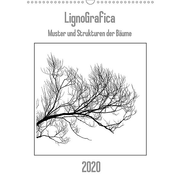 LignoGrafica - Muster und Strukturen der Bäume (Wandkalender 2020 DIN A3 hoch), Franco Tessarolo