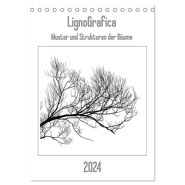 LignoGrafica - Muster und Strukturen der Bäume (Tischkalender 2024 DIN A5 hoch), CALVENDO Monatskalender, Franco Tessarolo