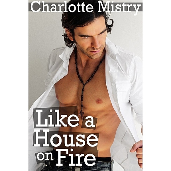 Like a House on Fire (Criminals do it Illegally #2), Charlotte Mistry