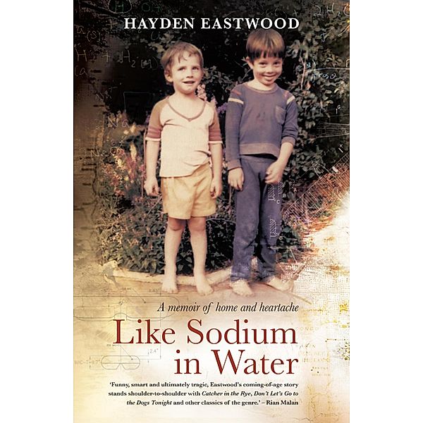 Like Sodium in Water, Hayden Eastwood