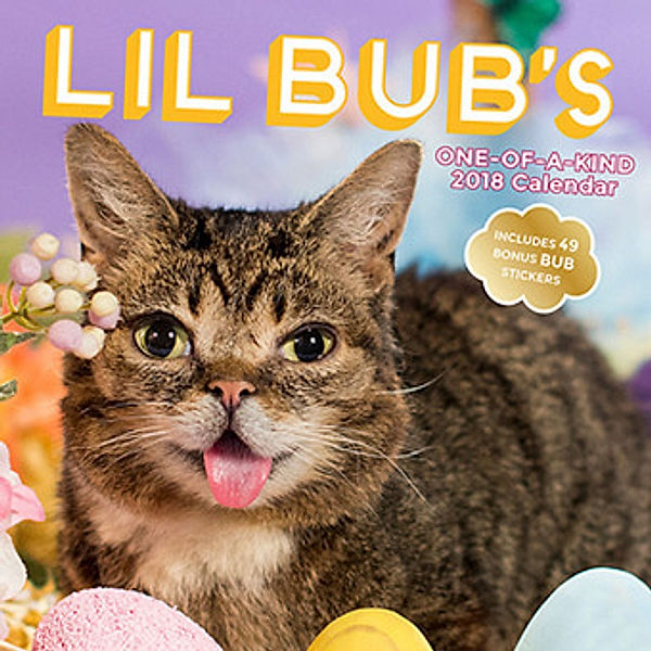 Lil Bub 2018, Lil Bub