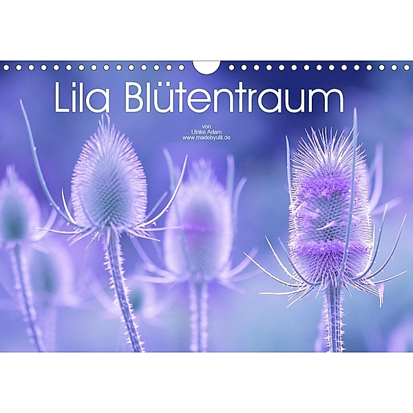 Lila Blütentraum (Wandkalender 2020 DIN A4 quer), Ulrike Adam