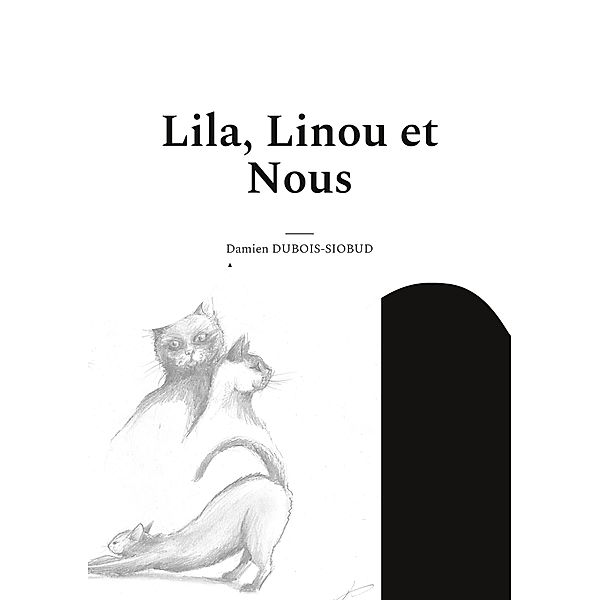 Lila, Linou et Nous / Du Zinzolin pour Pierrot Bd.2/6, Damien Dubois-Siobud