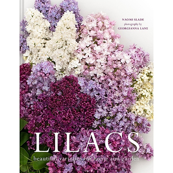 Lilacs, Naomi Slade