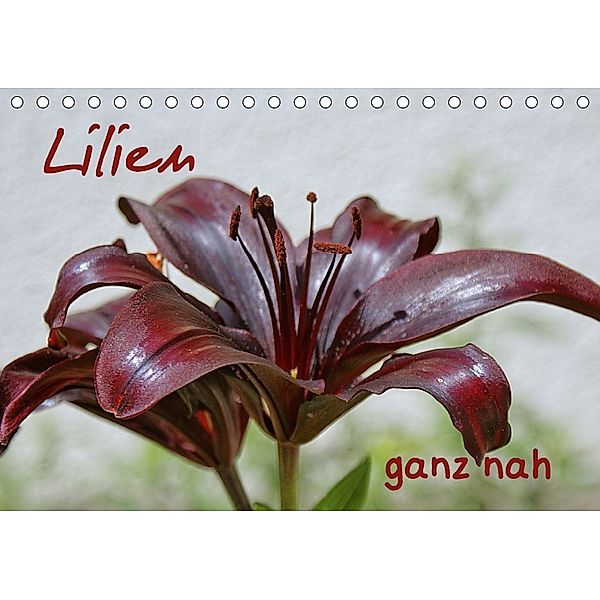 Lilien ganz nah (Tischkalender 2018 DIN A5 quer), Geiger Günther