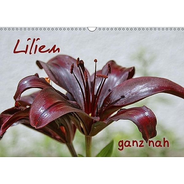 Lilien ganz nah (Wandkalender 2017 DIN A3 quer), Geiger Günther