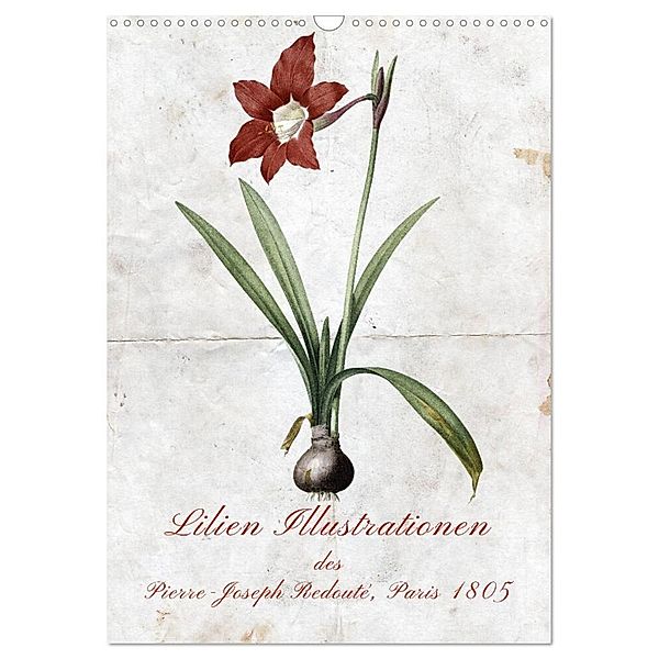 Lilien Illustrationen des Pierre-Joseph Redouté, Paris 1805 (Wandkalender 2025 DIN A3 hoch), CALVENDO Monatskalender, Calvendo, Kavodedition Bonheur18 Switzerland Marena Camadini