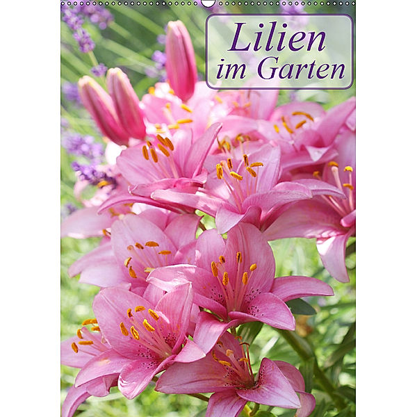 Lilien im Garten (Wandkalender 2019 DIN A2 hoch), Gisela Kruse