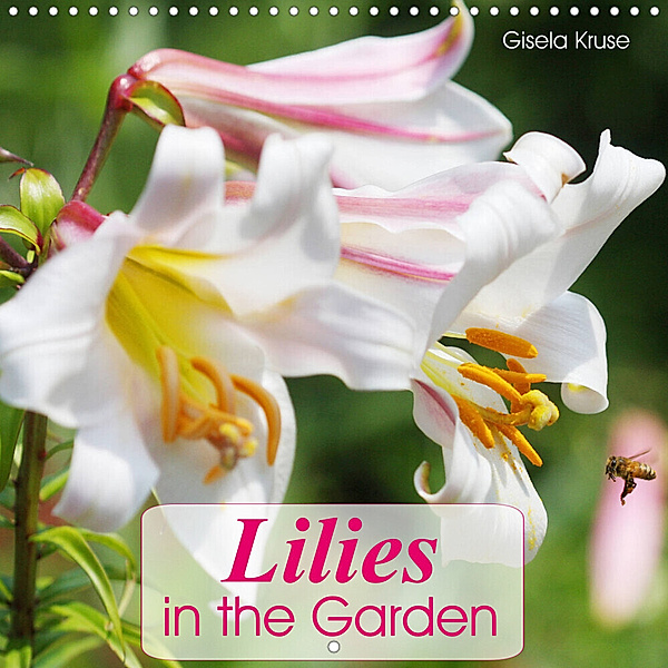 Lilies in the Garden (Wall Calendar 2023 300 × 300 mm Square), Gisela Kruse