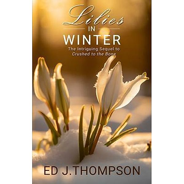 Lilies In Winter, Ed J Thompson