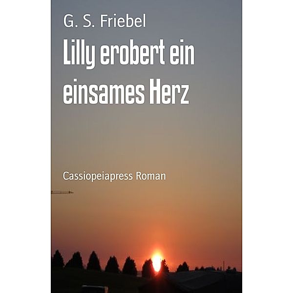 Lilly erobert ein einsames Herz, G. S. Friebel