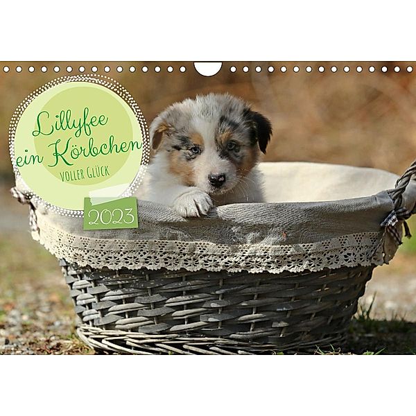 Lillyfee und ein Körbchen voller Glück (Wandkalender 2023 DIN A4 quer), Hundefotografie Beatrice Müller