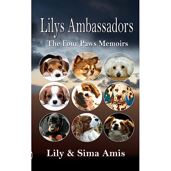 Lilys Ambassadors, Lily Amis, Sima Amis