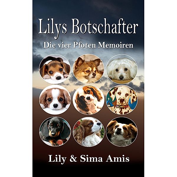 Lilys Botschafter, Lily Amis, Sima Amis