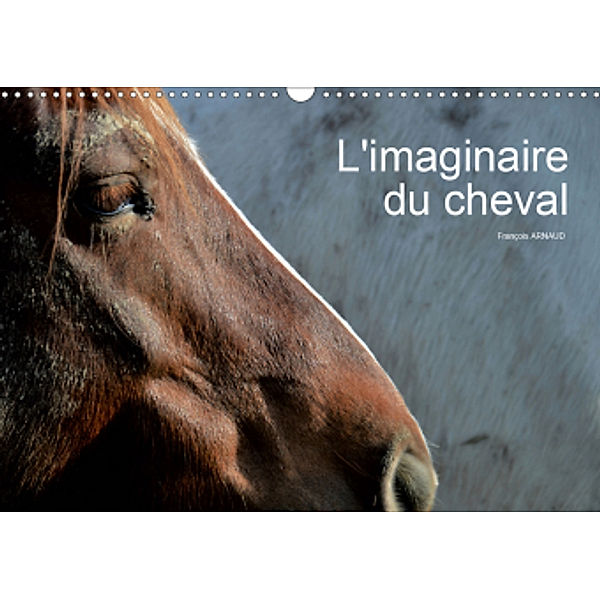 L'imaginaire du cheval (Calendrier mural 2021 DIN A3 horizontal), François Arnaud