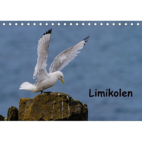 Limikolen (Tischkalender 2018 DIN A5 quer), Leon Uppena