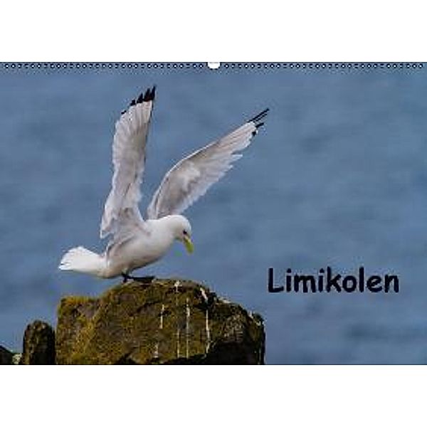 Limikolen (Wandkalender 2016 DIN A2 quer), Leon Uppena