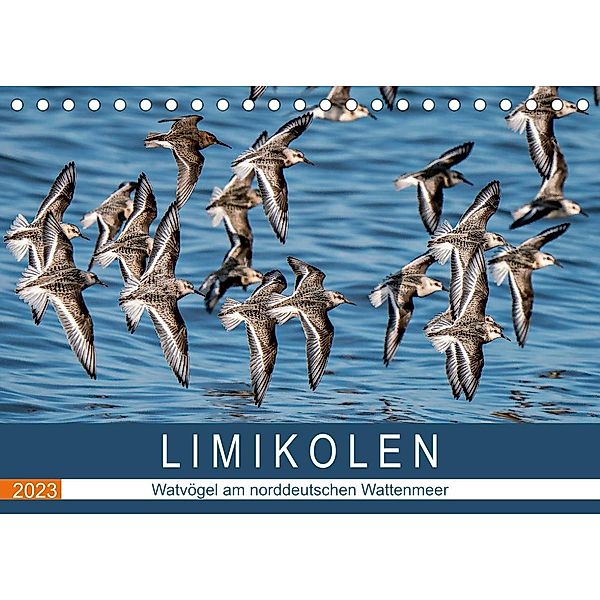 Limikolen - Watvögel am norddeutschen Wattenmeer (Tischkalender 2023 DIN A5 quer), Arne Wünsche