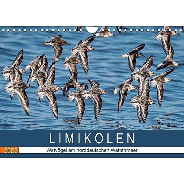 Limikolen - Watvögel am norddeutschen Wattenmeer (Wandkalender 2023 DIN A4 quer), Arne Wünsche