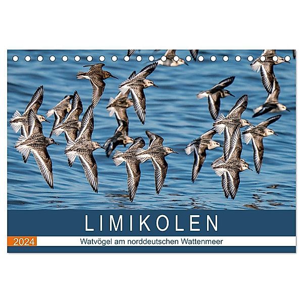 Limikolen - Watvögel am norddeutschen Wattenmeer (Tischkalender 2024 DIN A5 quer), CALVENDO Monatskalender, Arne Wünsche