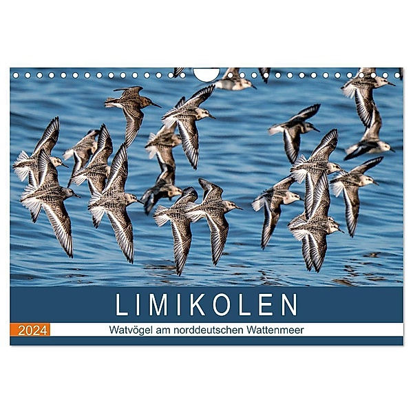 Limikolen - Watvögel am norddeutschen Wattenmeer (Wandkalender 2024 DIN A4 quer), CALVENDO Monatskalender, Arne Wünsche