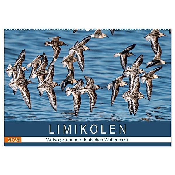 Limikolen - Watvögel am norddeutschen Wattenmeer (Wandkalender 2024 DIN A2 quer), CALVENDO Monatskalender, Arne Wünsche