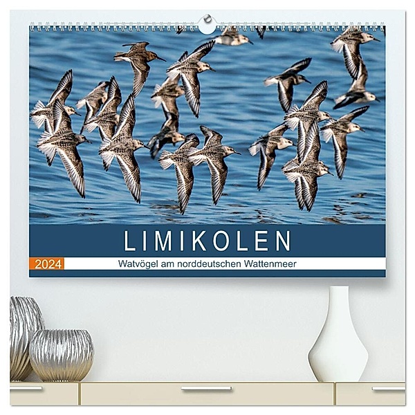 Limikolen - Watvögel am norddeutschen Wattenmeer (hochwertiger Premium Wandkalender 2024 DIN A2 quer), Kunstdruck in Hochglanz, Arne Wünsche