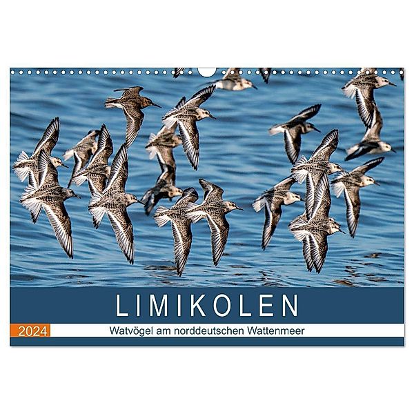 Limikolen - Watvögel am norddeutschen Wattenmeer (Wandkalender 2024 DIN A3 quer), CALVENDO Monatskalender, Arne Wünsche