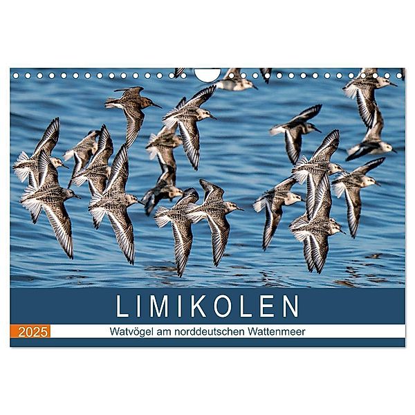 Limikolen - Watvögel am norddeutschen Wattenmeer (Wandkalender 2025 DIN A4 quer), CALVENDO Monatskalender, Calvendo, Arne Wünsche